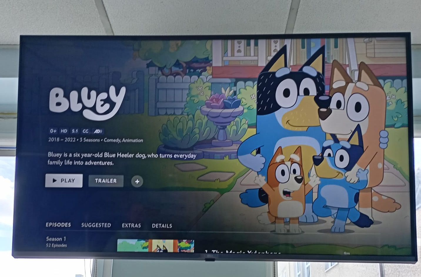 Thank You for Supporting the Teddy Bear Hospital